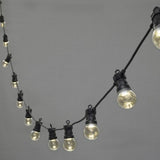20 Clear Festoon LED String Light Unclassified Lexi Lighting 